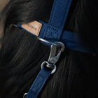 Laisses - 2 m (15 mm)