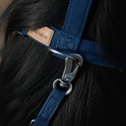 Laisse Orange - 3 m (20 mm)