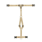 Harnais pour chien Haqihana - Gold