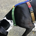 Harnais Yellow - (de M à XXS)