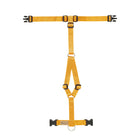 Harnais pour chien Haqihana - Orange