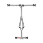 Harnais pour chien Haqihana - Steel