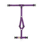 Harnais pour chien Haqihana - Violet