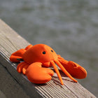 Jouet d'eau pour chien - Homard