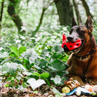 Jouet en peluche Papillon