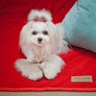 Couverture rouge ROYAL