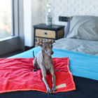 Couverture rouge ROYAL