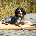 Tapis CHILL - (Olive, Brown, Silver, Rose, Honey)