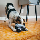 Jouet en peluche Appareil photo