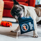 Jouet en peluche Passeport