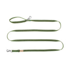 Laisses - 2 m (15 mm)