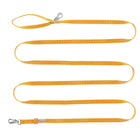 Laisse Orange - 3 m (20 mm)