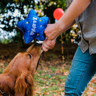Jouet en peluche Ballon d'anniversaire