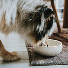 Bol en Céramique LUND - Gris