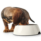 Écuelle en Mélamine - Blanc