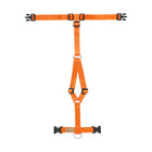 Harnais pour chien Haqihana - Carrot