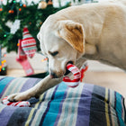 Jouet en peluche Sucre d'orge