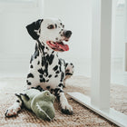 Peluche pour chien Crocodile - TOUGH TOYS