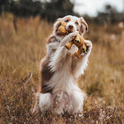 Jouet pour chien en tissu recyclé - Girafe