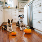 Jouet en peluche Citrouille - 2 Tailles