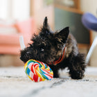 Jouet en peluche Sucette Lollipop