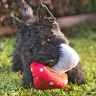 Jouet en peluche Champignon