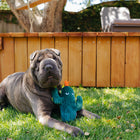 Jouet en peluche Cactus