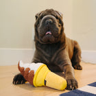 Jouet en peluche Glace