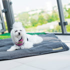 Tapis de voyage LOFT - (Graphite, Grey)