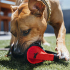 Jouet en peluche Casque audio