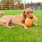 Jouet en peluche Citrouille - 2 Tailles