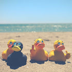 Jouet en caoutchouc naturel - Canard OK