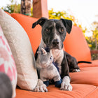 Jouet en peluche Licorne