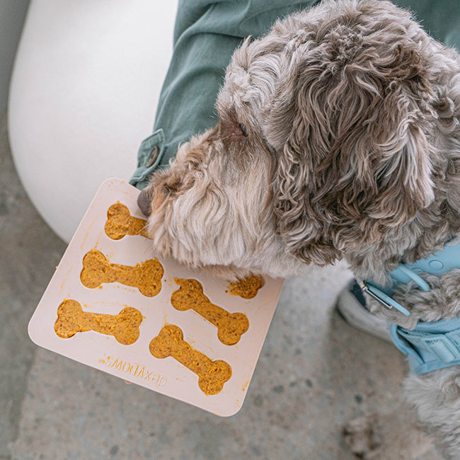 Set de 2 moules à friandises pour chien en silicone avec spatule de dexypaws