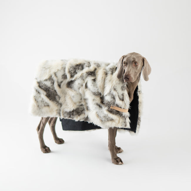 Plaid pour chien TOSSE - (Marron et Blanc)