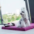 Tapis CHILL - (Olive, Brown, Silver, Rose, Honey)