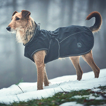 Manteau pour chien UPPSALA Black